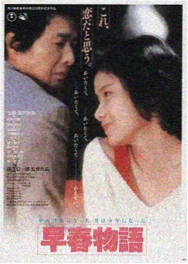 森林之光